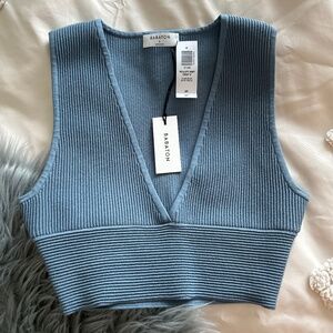 Aritzia Babaton knit top